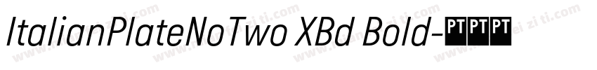 ItalianPlateNoTwo XBd Bold字体转换
